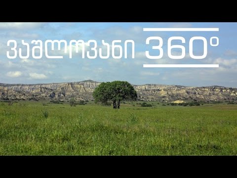 National Park 360 ° -  Vashlovani